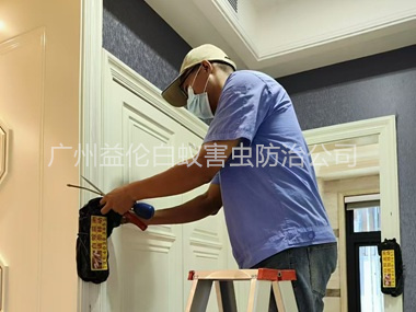 石马住宅白蚁防治工程