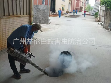 钟落潭街道消灭蚊虫工程