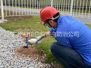 人和红火蚁防治工程